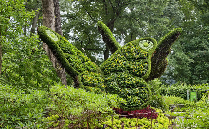Image via Atlanta Botanical Garden