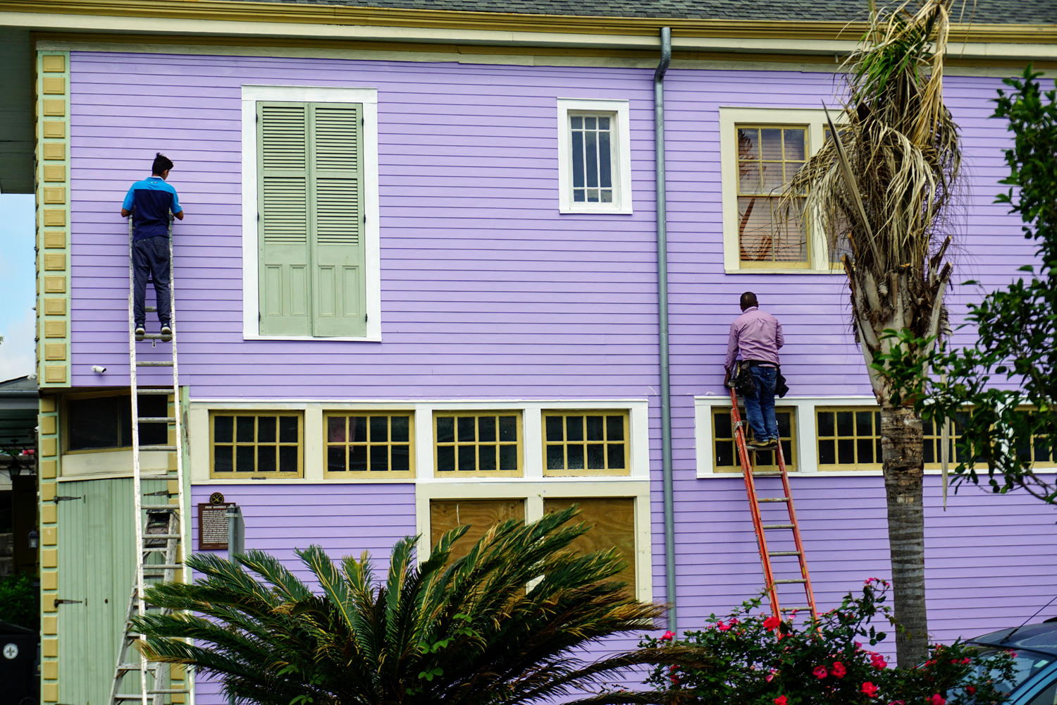 two men on ladders working outside a purple house