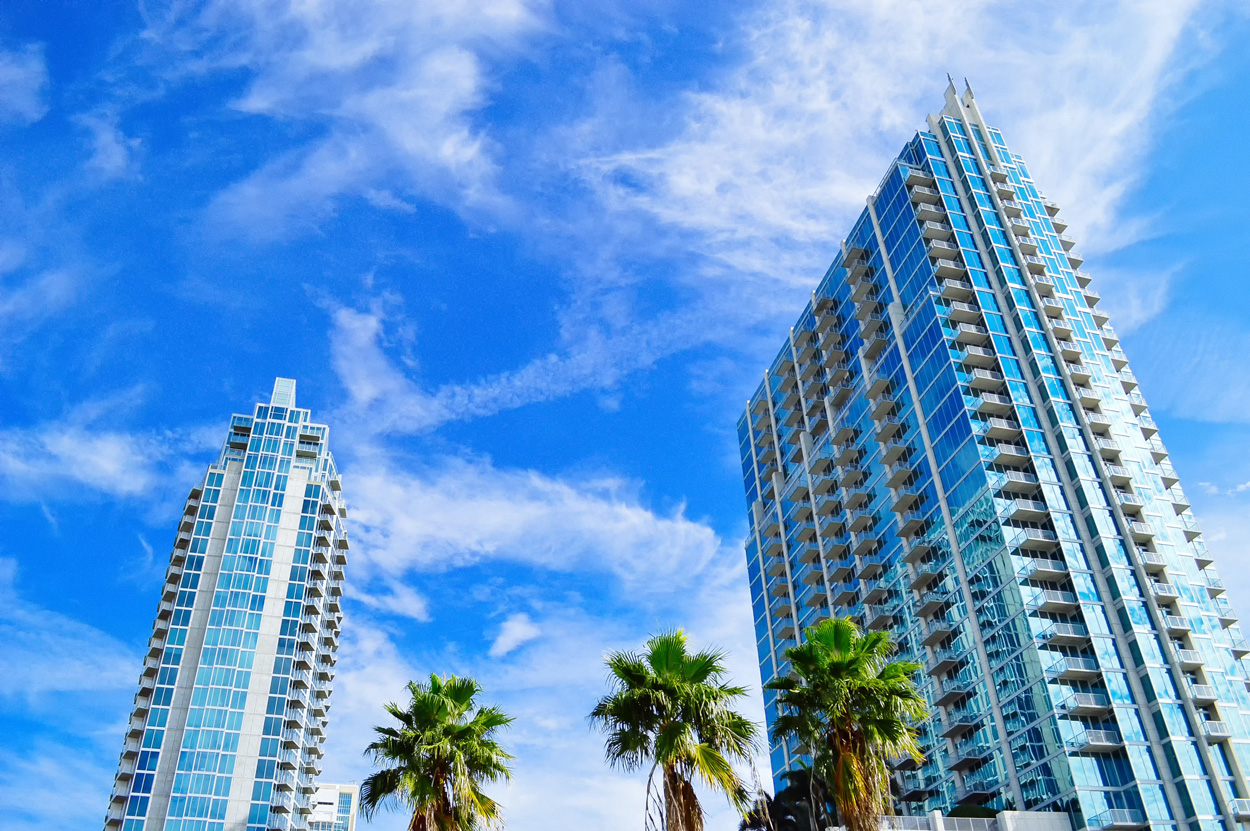 green palm trees near high-rise buildings under blue sky