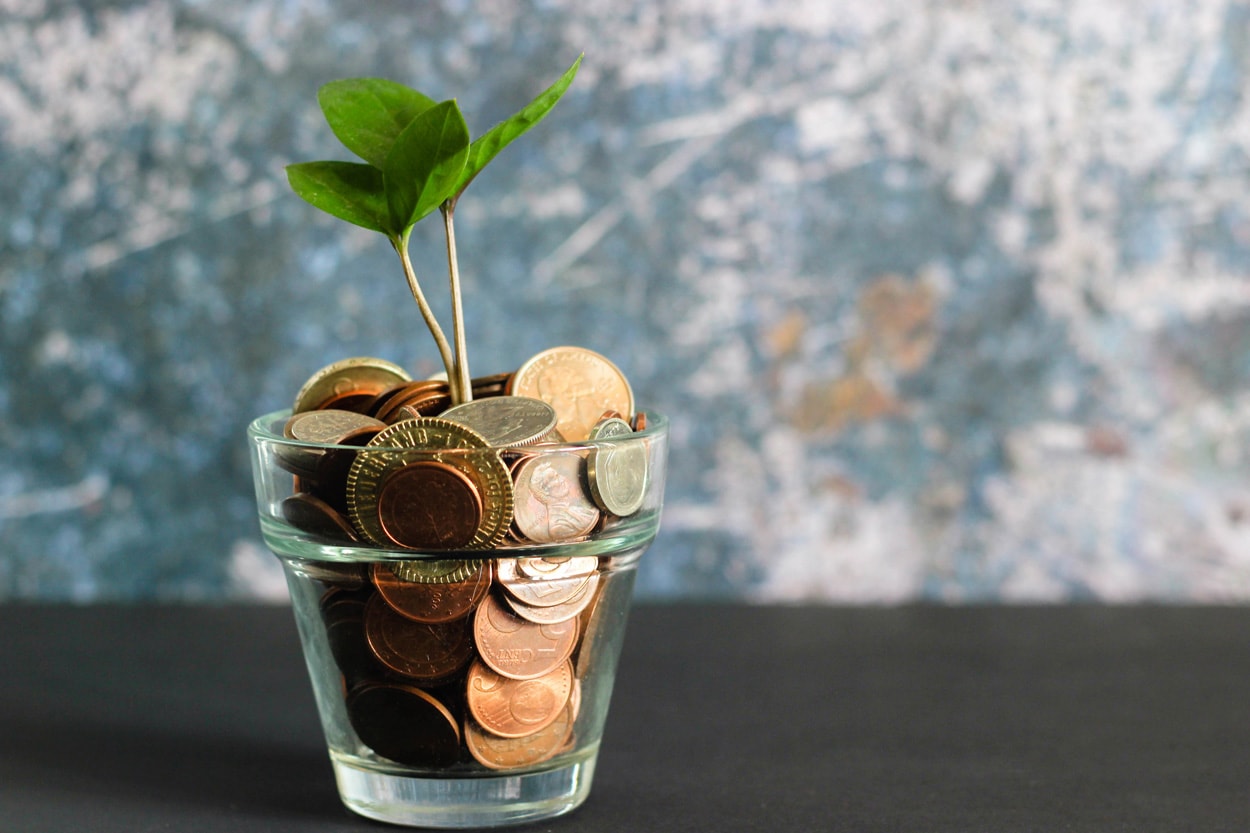 plant inside a vase with money coins