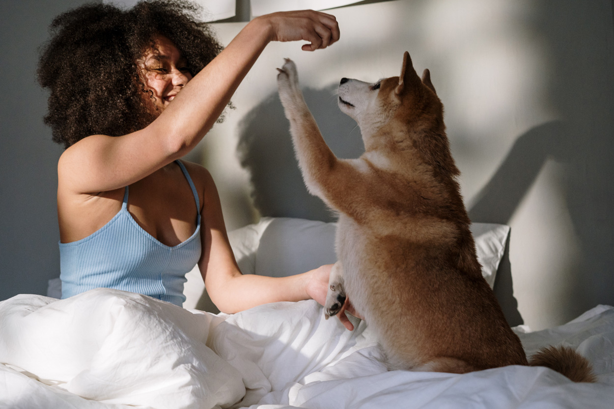 woman and dog in bed